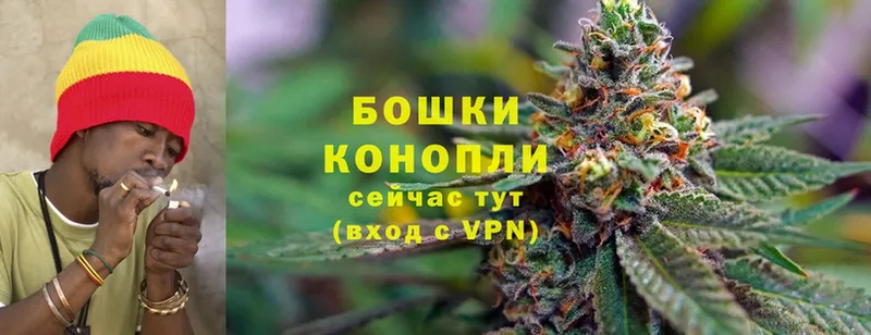 где купить наркотик  Белая Холуница  Шишки марихуана Ganja 